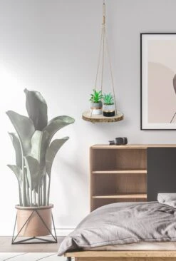 Set Van 2 Boomstam Rond Wandrek Plantenhangers - Boho Jute Houten Plantenrek - Hangpot Voor Binnen/Buiten - Hangende Bloempot Plank - Hangplant Houder - Bohemian Macrame Stijl Wandhanger - Hangplank Plant Hanger - Planthanger - Ø Rond 25-20cm -Tuin Verkoop 809x1200