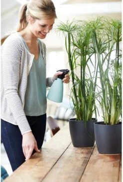 Elho Brussels Sprayer 12 - Plantenspuit Voor Binnen - Ø 11.3 X H 22.3 Cm - Groen/Mint -Tuin Verkoop 813x1200 3