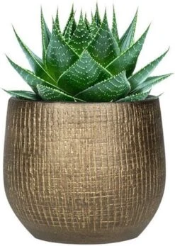 Plantenpot/bloempot In Een Strakke Modern Design Look Metal Goud Dia 22 Cm En Hoogte 20 Cm -Tuin Verkoop 853x1200 3
