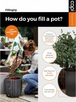 Capi Europe - Bloempot Bol Smooth NL - 35x34 - Zwart - Voor Binnen En Buiten - KBL932 -Tuin Verkoop 892x1200 1