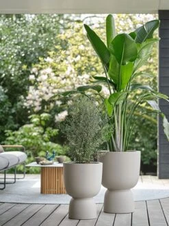 Elho Pure Coupe 41 - Bloempot Voor Binnen & Buiten - Ø 41.3 X H 57.9 Cm - Beige/Balanced Beige -Tuin Verkoop 900x1200 30