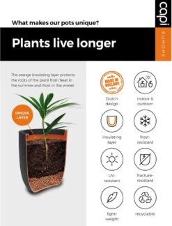 Capi Europe - Bloempot Vierkant Smooth NL - 50x50x50 - Zwart - Voor Binnen En Buiten - KBL904 -Tuin Verkoop 916x1200 3