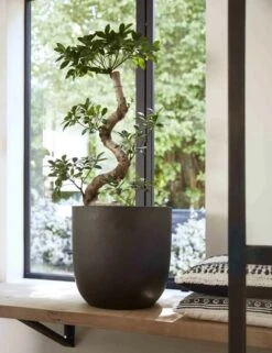 Capi Europe - Bloempot Bol Smooth NL - 35x34 - Zwart - Voor Binnen En Buiten - KBL932 -Tuin Verkoop 923x1200