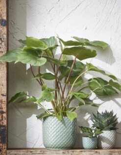 Mica Decorations Daan Bloempot - H17,5 X Ø19 Cm - Groen -Tuin Verkoop 942x1200 2