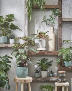 Mica Decorations Daan Bloempot - H17,5 X Ø19 Cm - Groen -Tuin Verkoop 943x1200 1