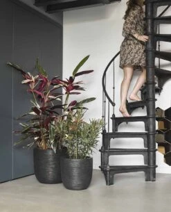 Capi Europe - Bloempot Bol Rib NL - 35x34 - Zwart - Voor Binnen En Buiten - KBLR932 -Tuin Verkoop 972x1200 1